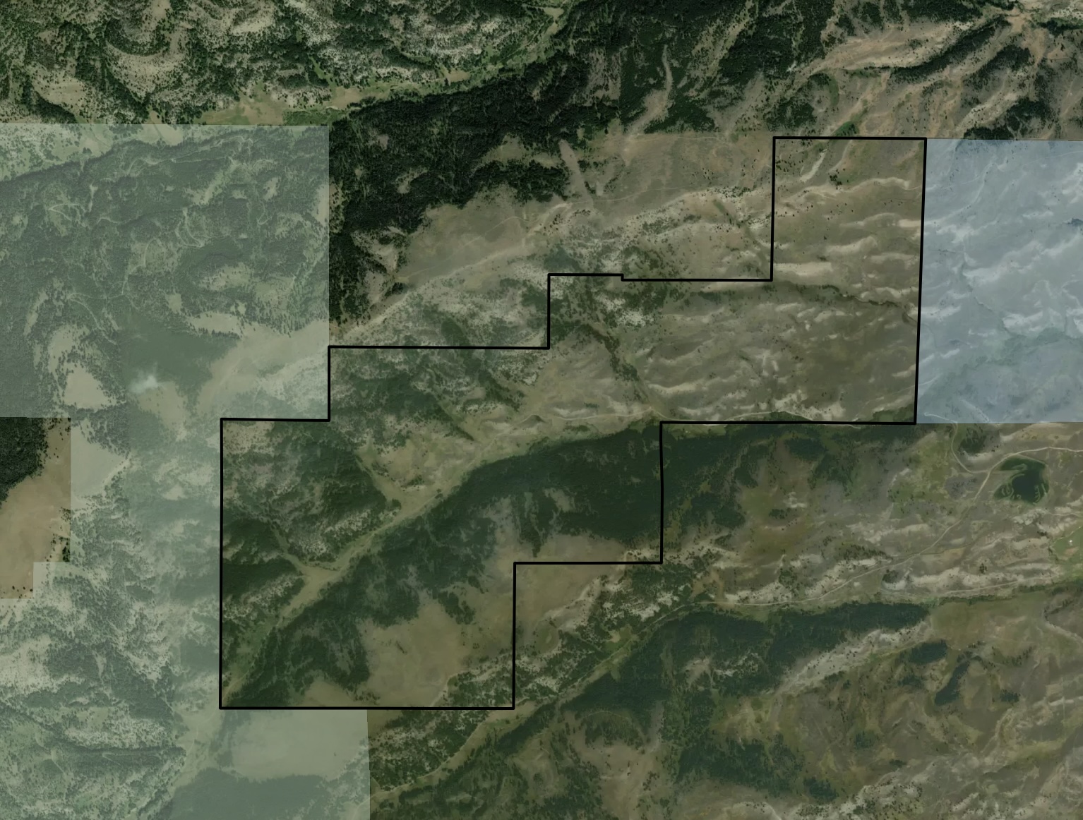 Moose Dreams Montana Land for Sale